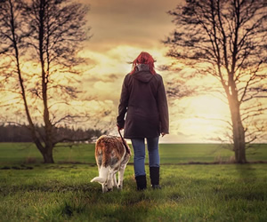 How to make your dog happier in 2020 - longer walks 